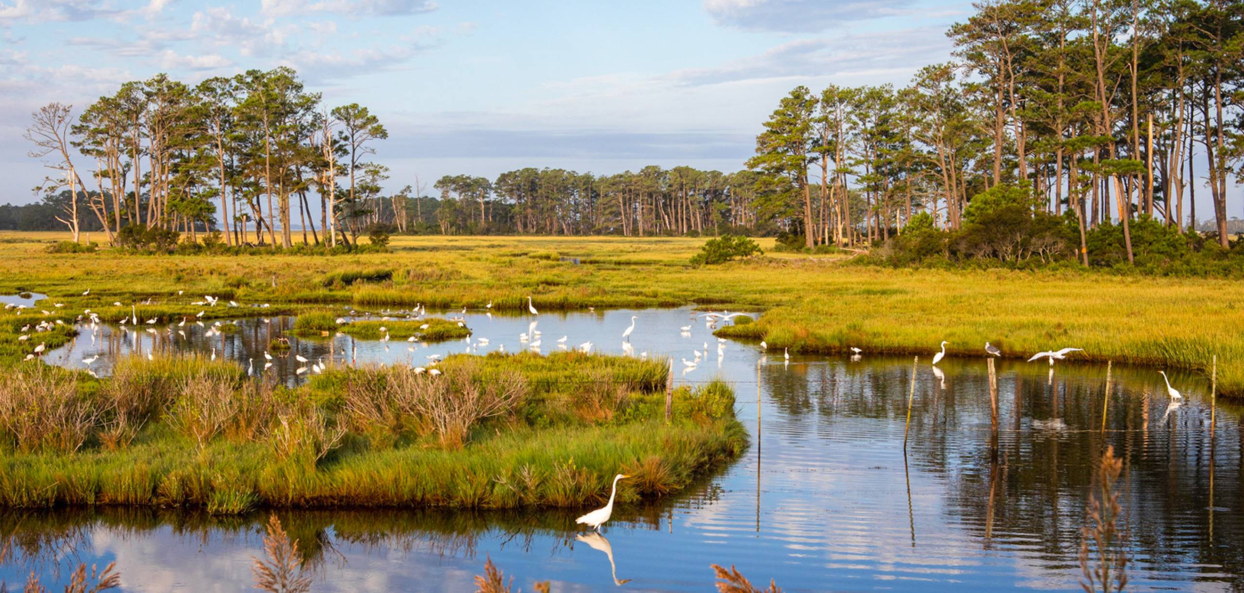 Coastal Shore Vacations Virginia's Eastern Shore Vacation Rentals